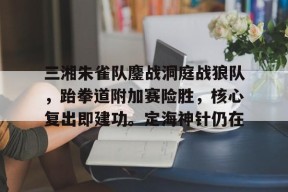 爱游戏体育-三湘朱雀队鏖战洞庭战狼队，跆拳道附加赛险胜，核心复出即建功。定海神针仍在的简单介绍