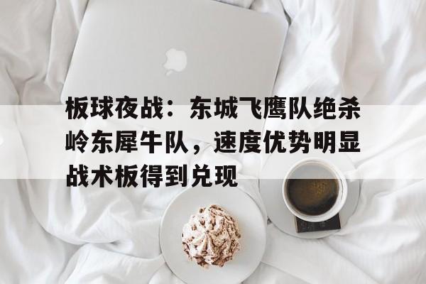 鹰隼大队第二部全集